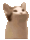 :cat: