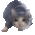 :cat2: