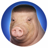 D0MIK