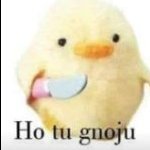 DenSou