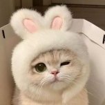 PersonaNonGrata2